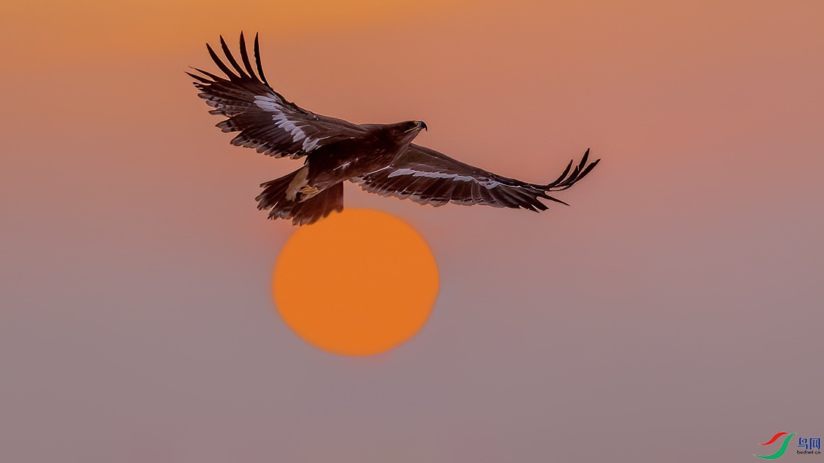 _DSC8587-1.jpg