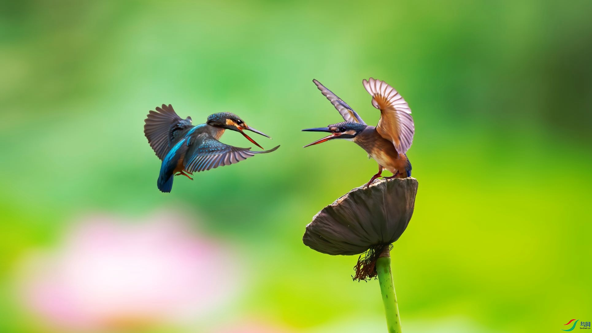 ��������.jpg