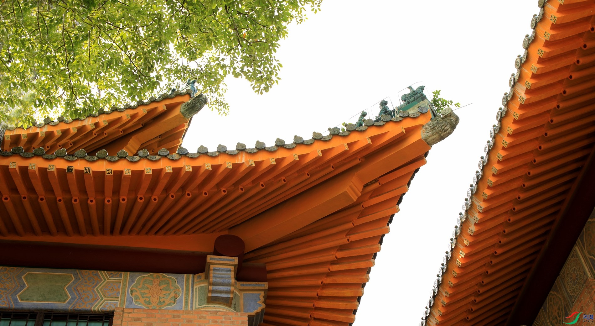 �����̽�