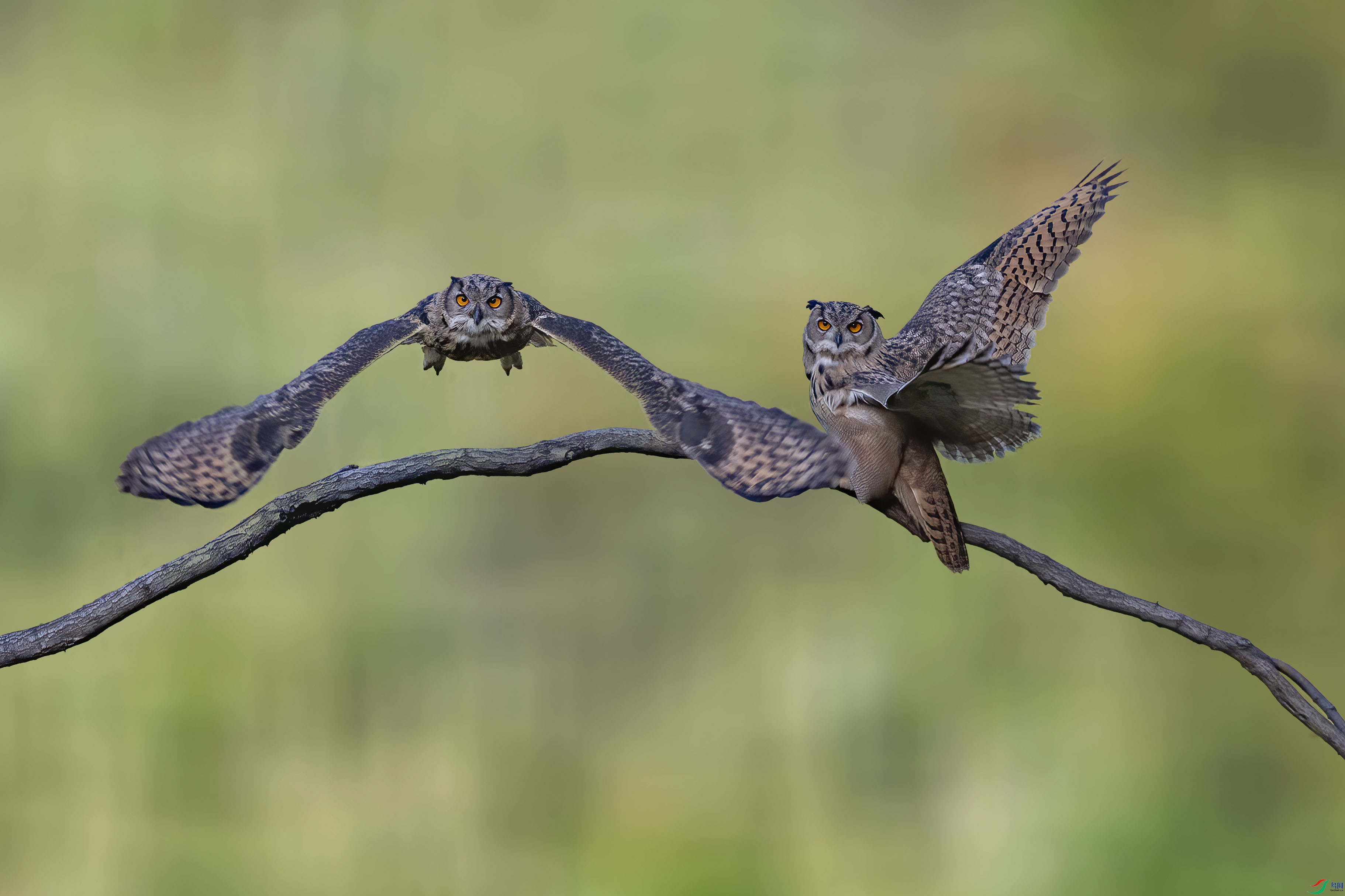 A95I0425 ���� 2.jpg