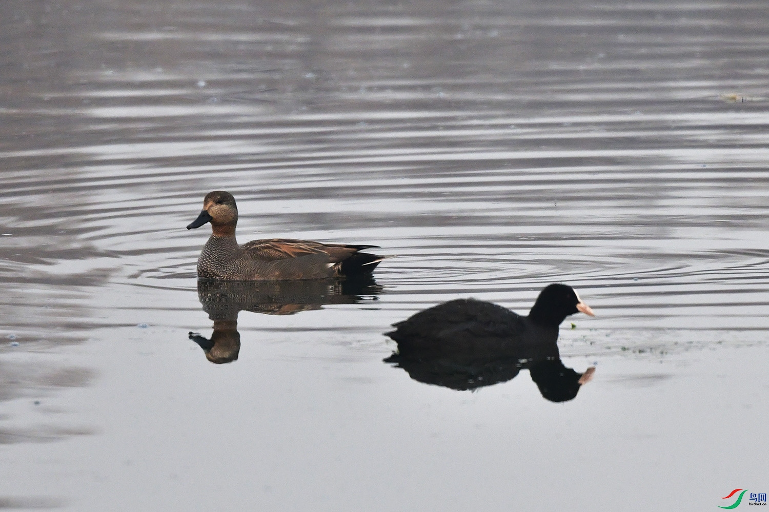 DSC_3141.jpg