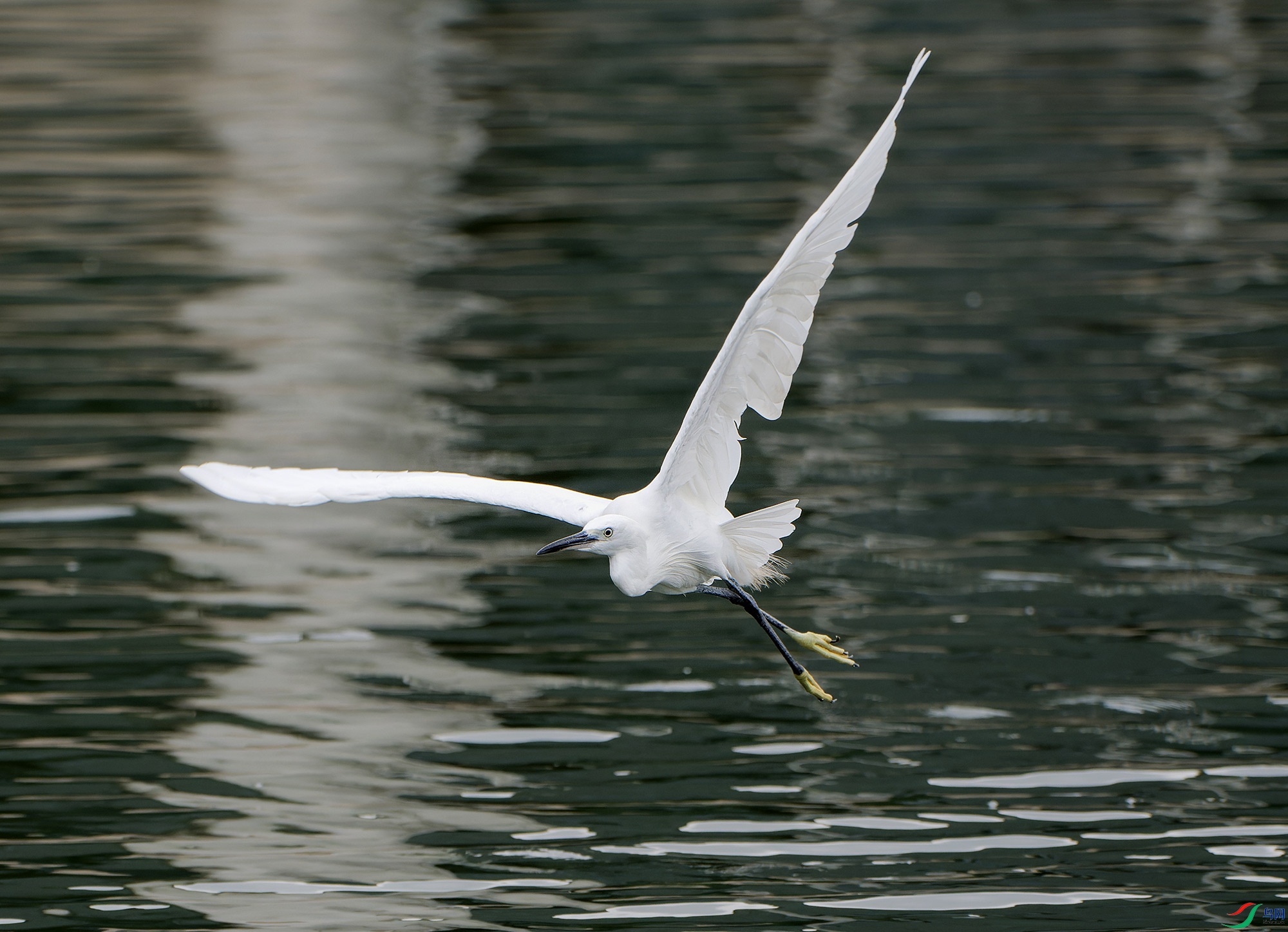 DSC_5594.jpg