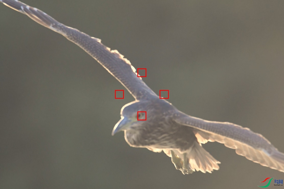 �ڶ���ͷ�ȶ����ˡ�˵���������û��׷����