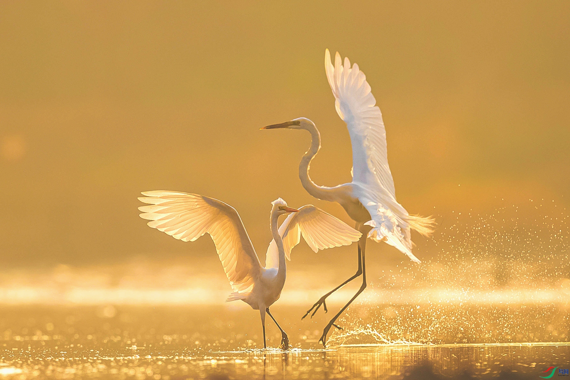 AO4I8984 - ���� ����.jpg