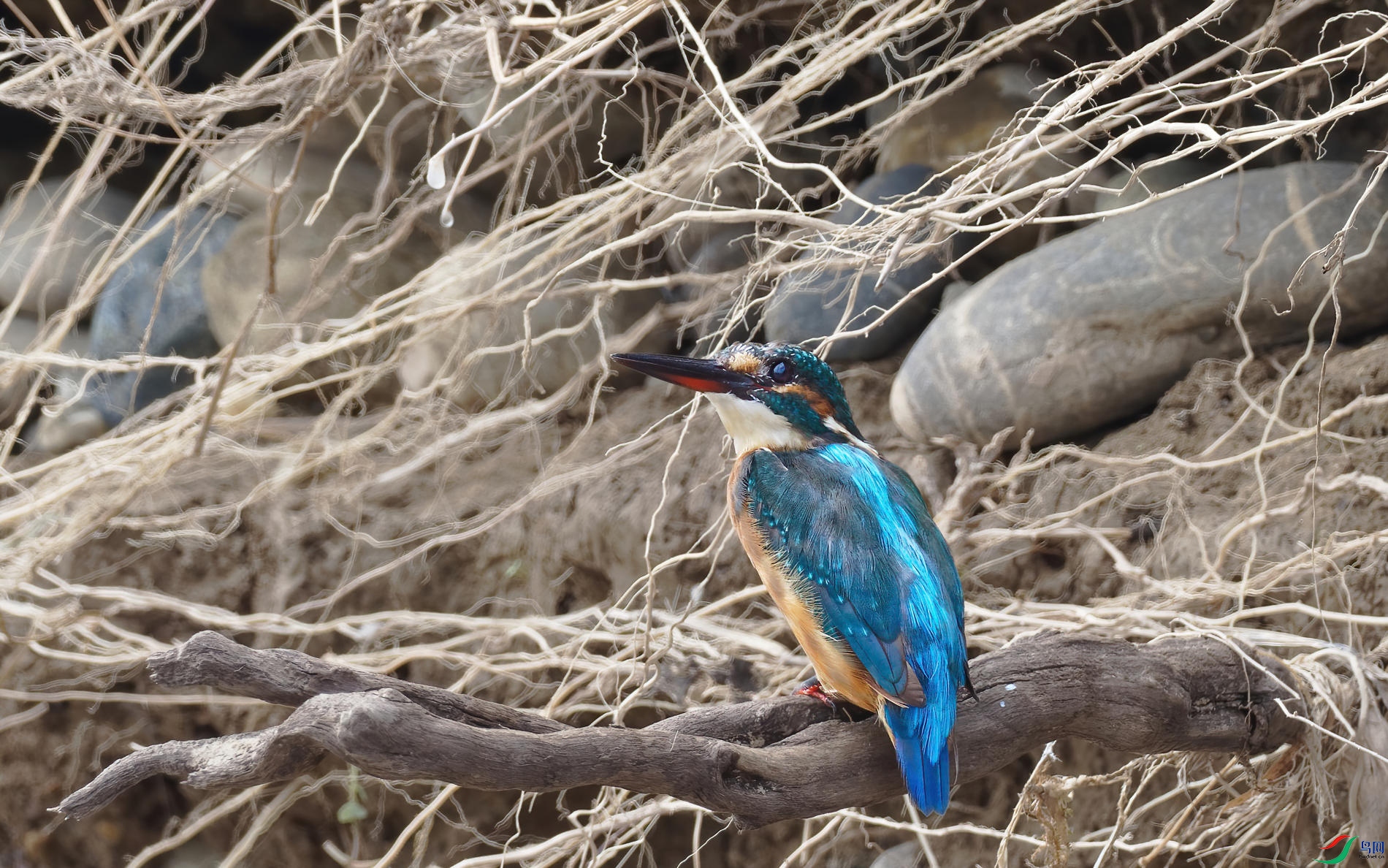 P9110198_DxO-d2.jpg