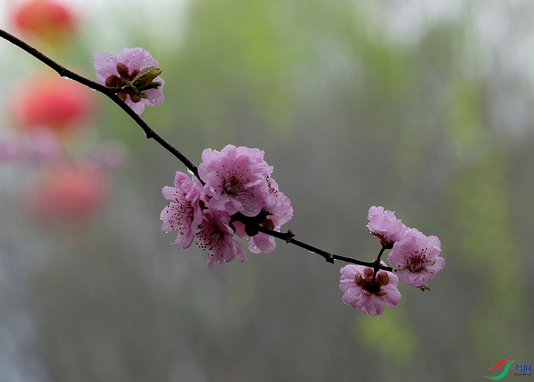 DSCF6215.JPG