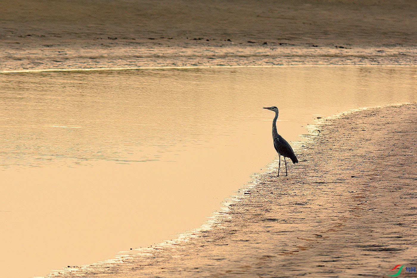 DSC_6908aaa.jpg