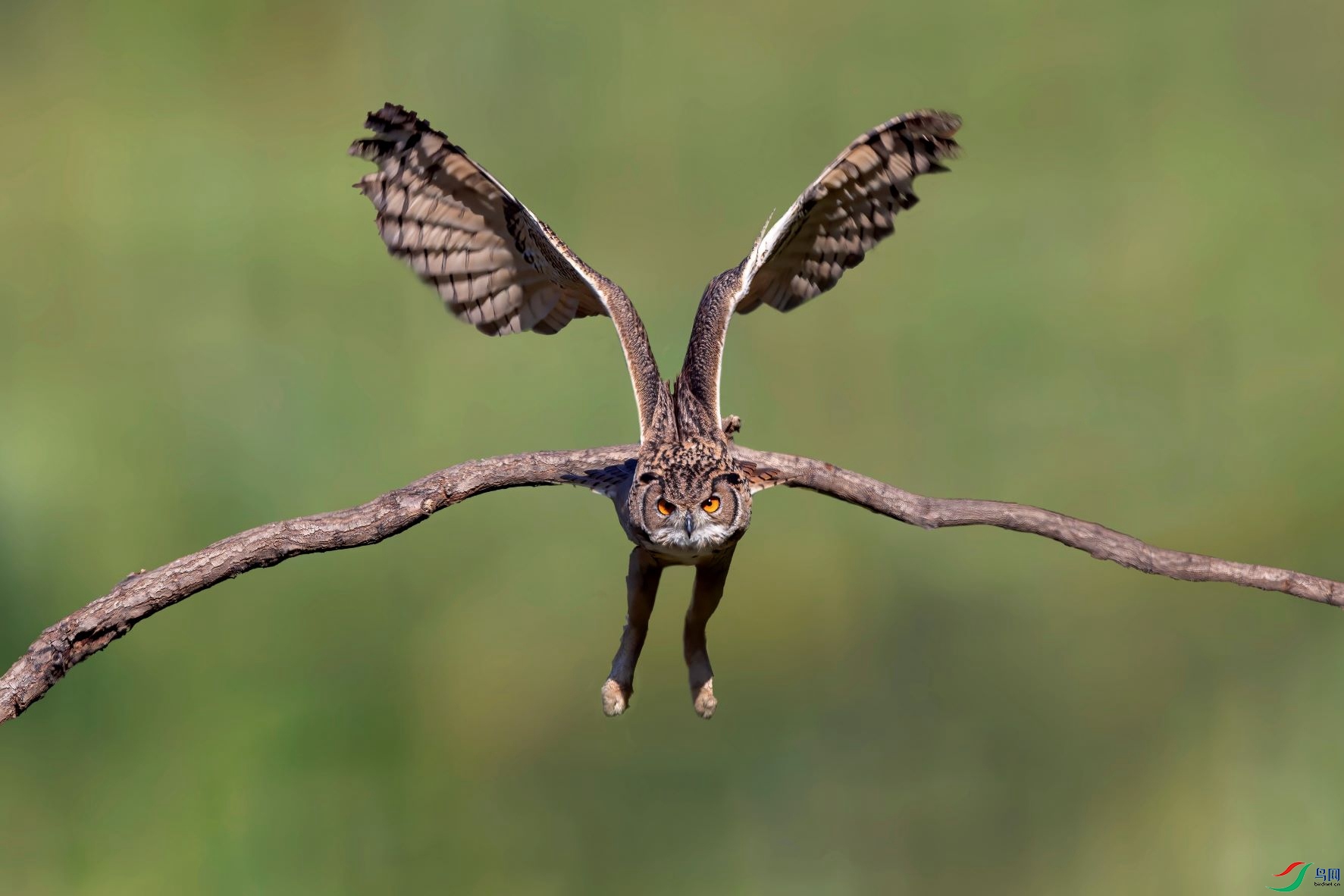 A95I0425 ���� 4.jpg