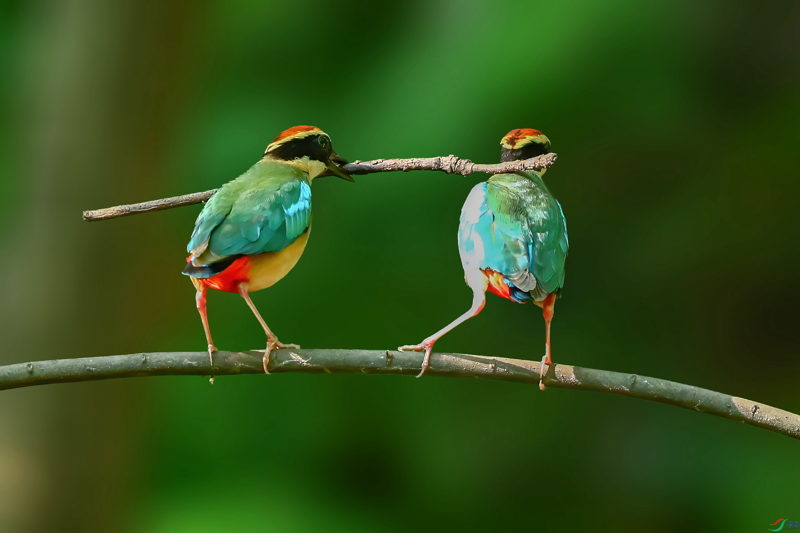 A95I1928 ����.jpg