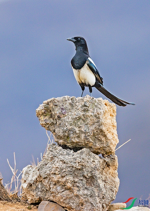 �߸�����