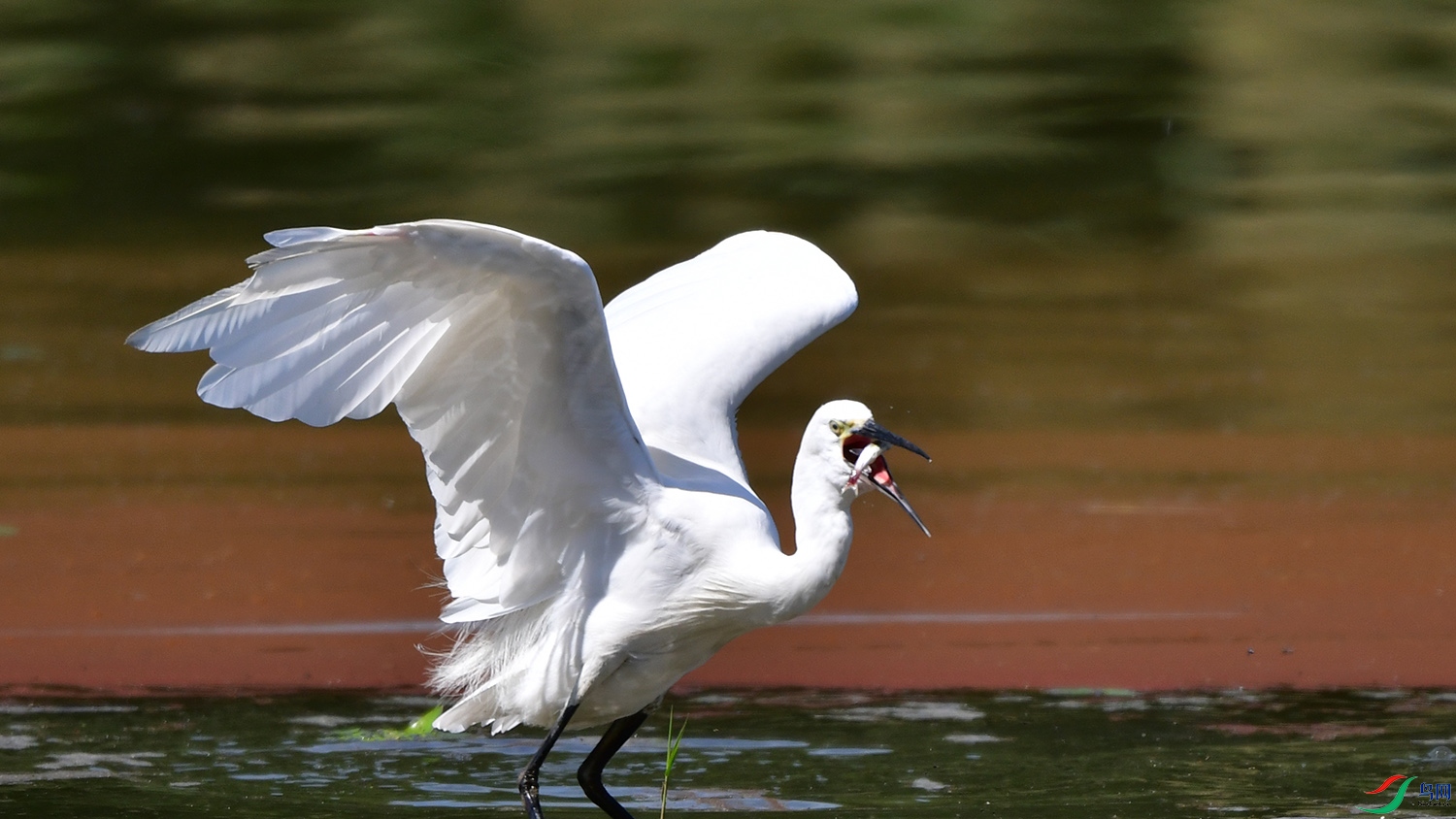 DSC_6314.jpg