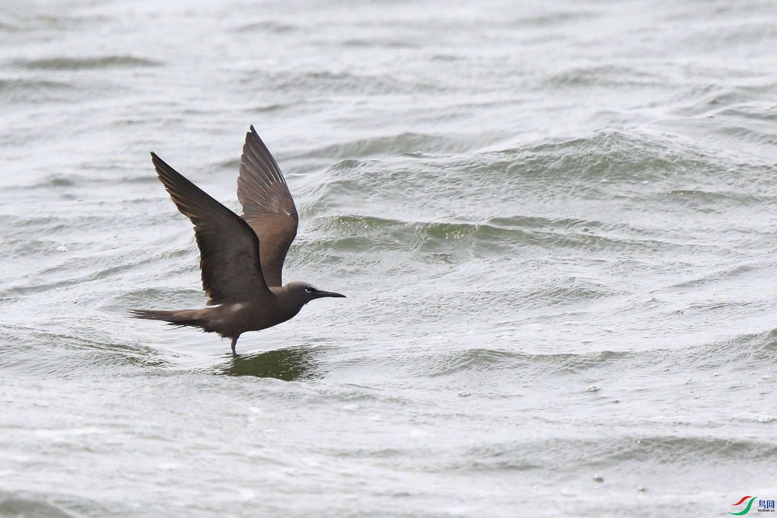 �׶�����Ÿ111  0F4A8410.jpg