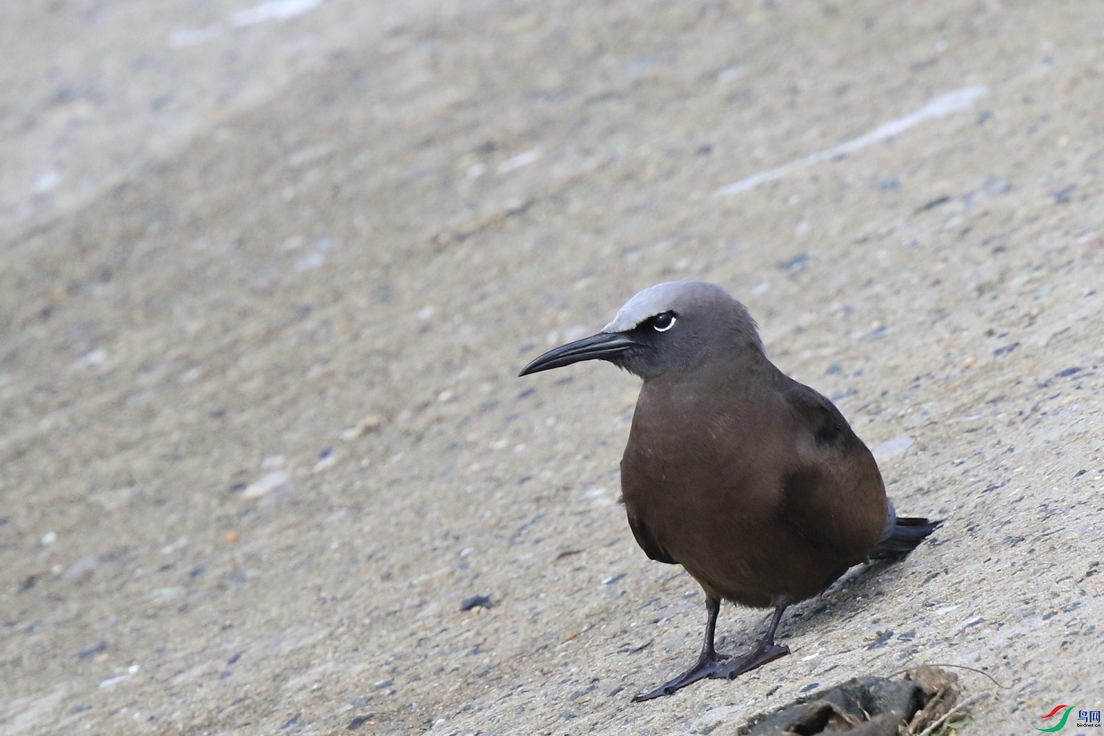 �׶�����Ÿ111 0F4A6522.jpg