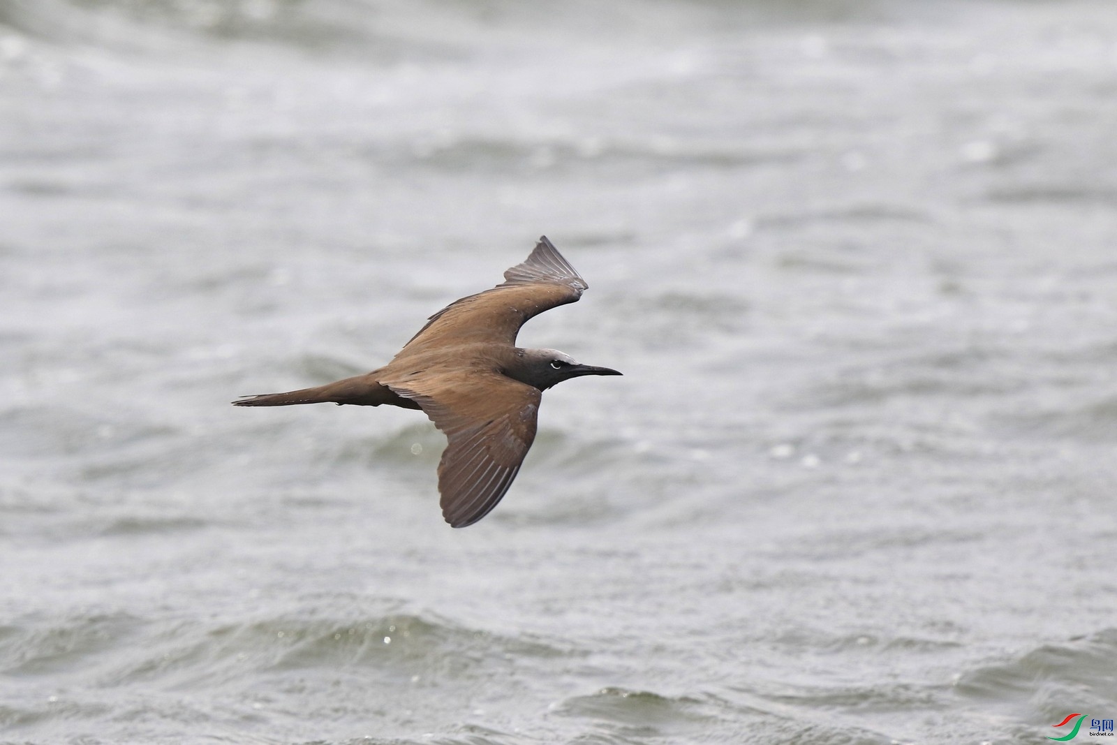 �׶�����Ÿ111 0F4A8203.jpg