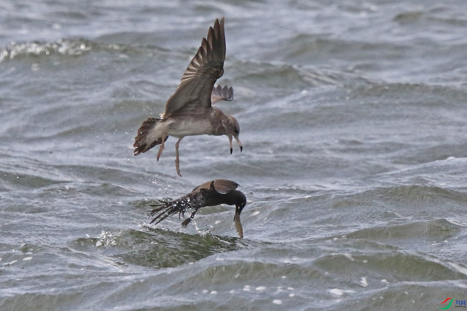 �׶�����Ÿ111 0F4A7216.jpg