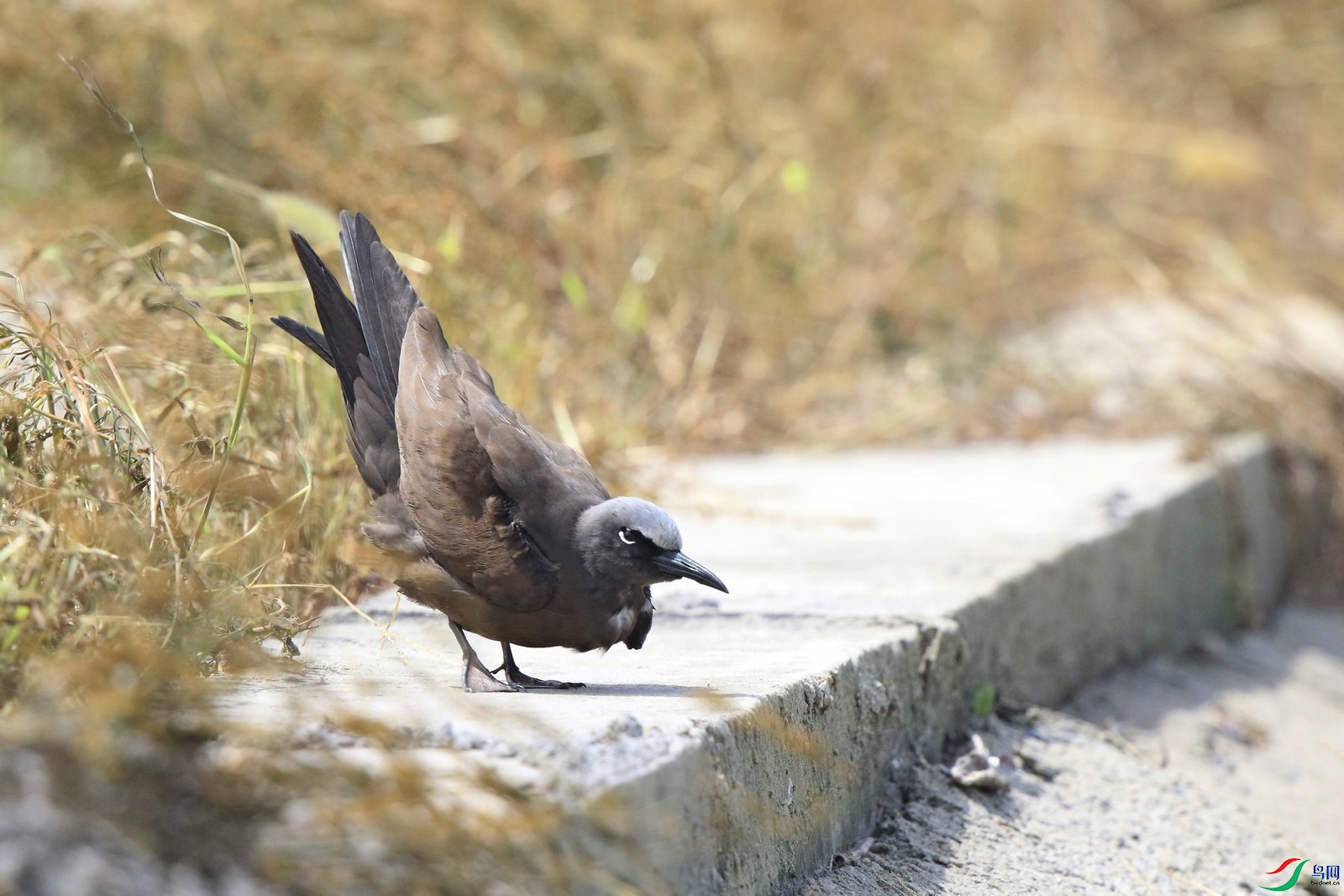 �׶�����Ÿ111 0F4A8714.jpg