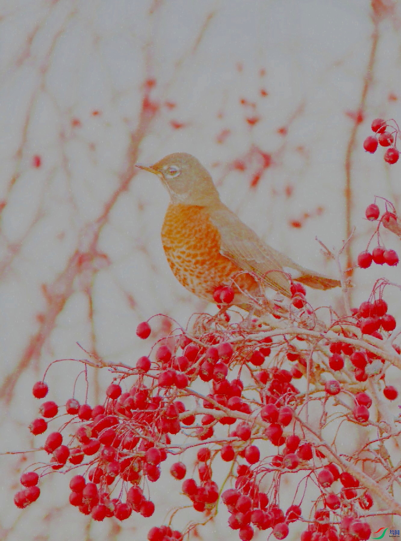 BBay111109 242z_1_1.JPG