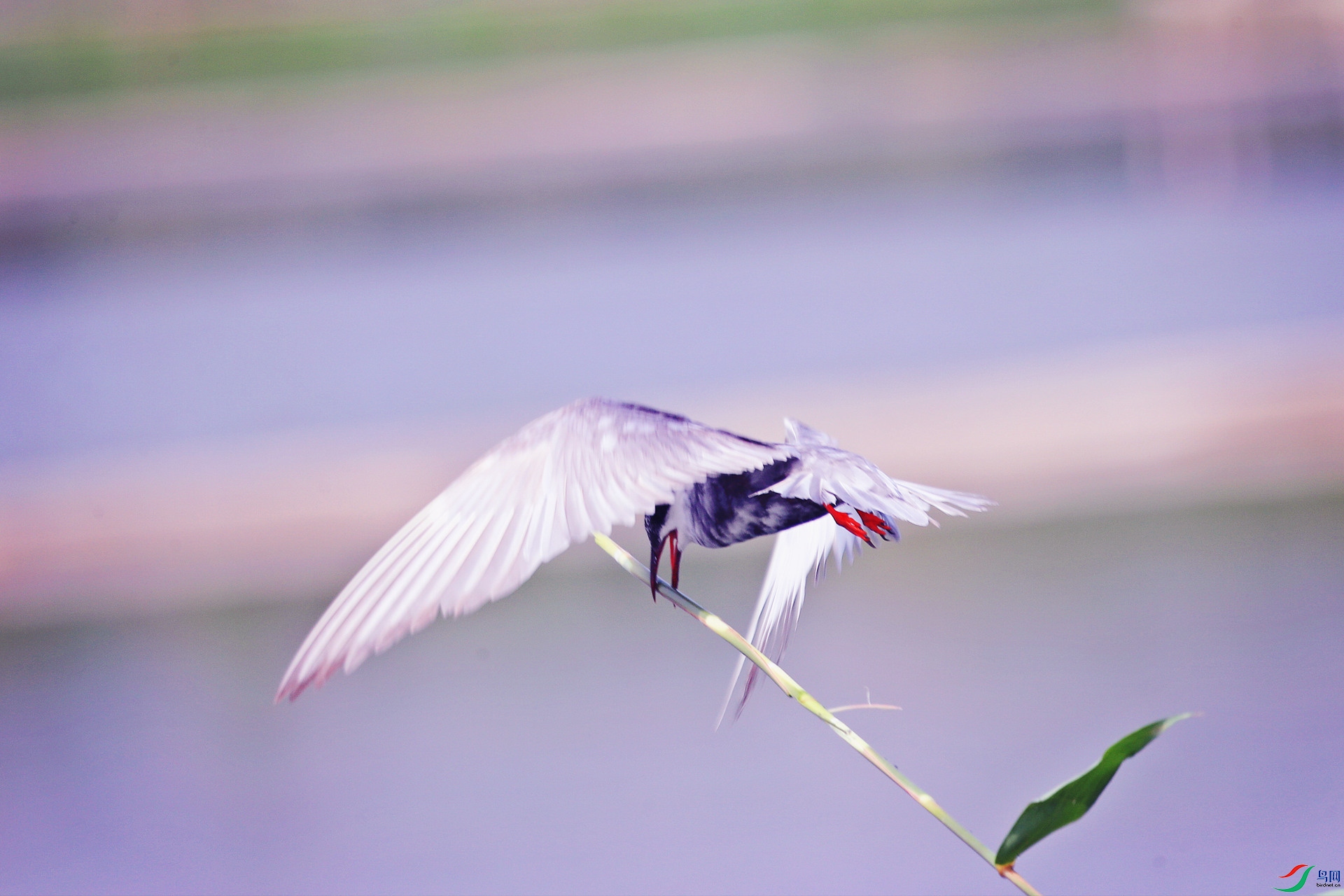 AS8I9917_����.jpg