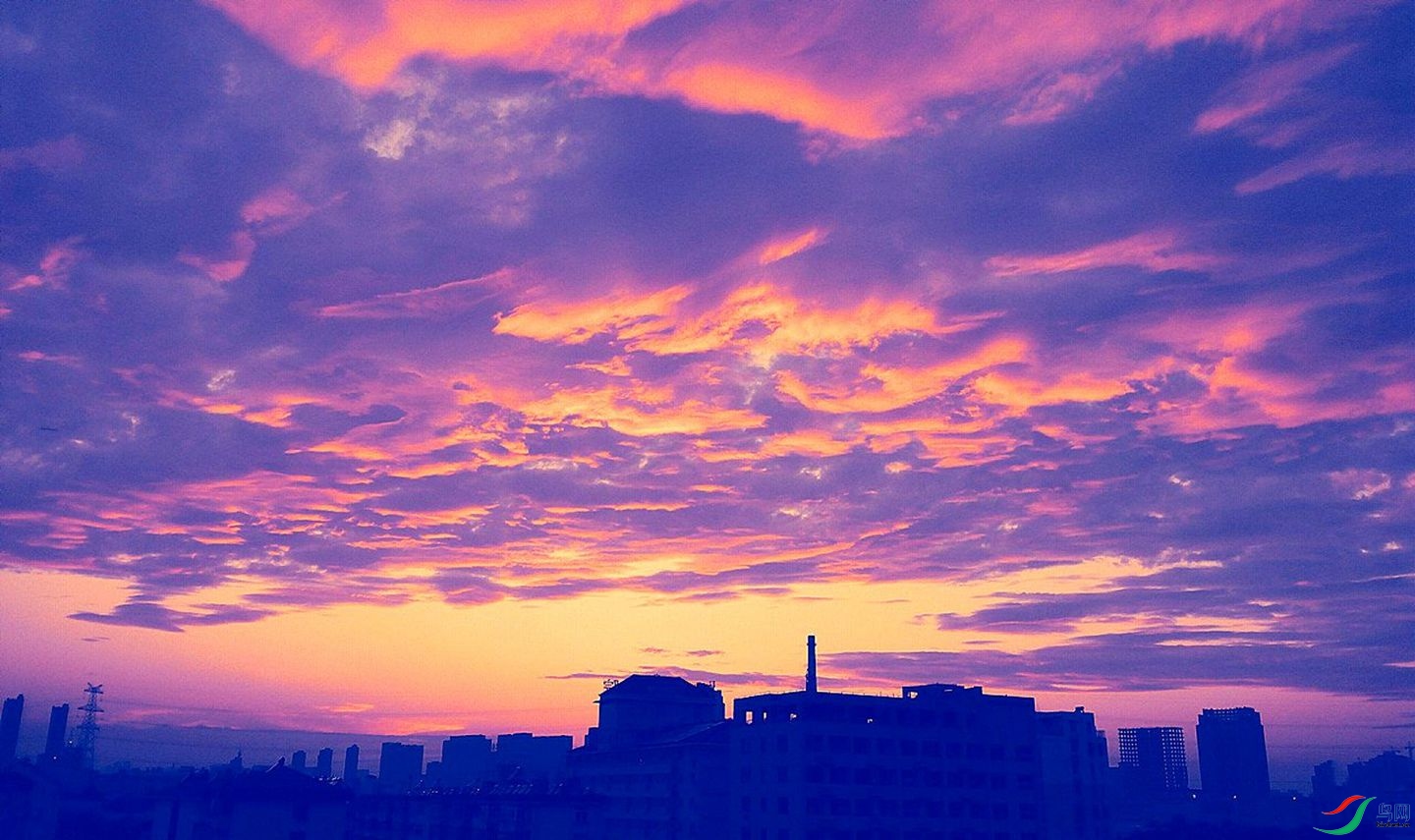 310 (83)_����.jpg