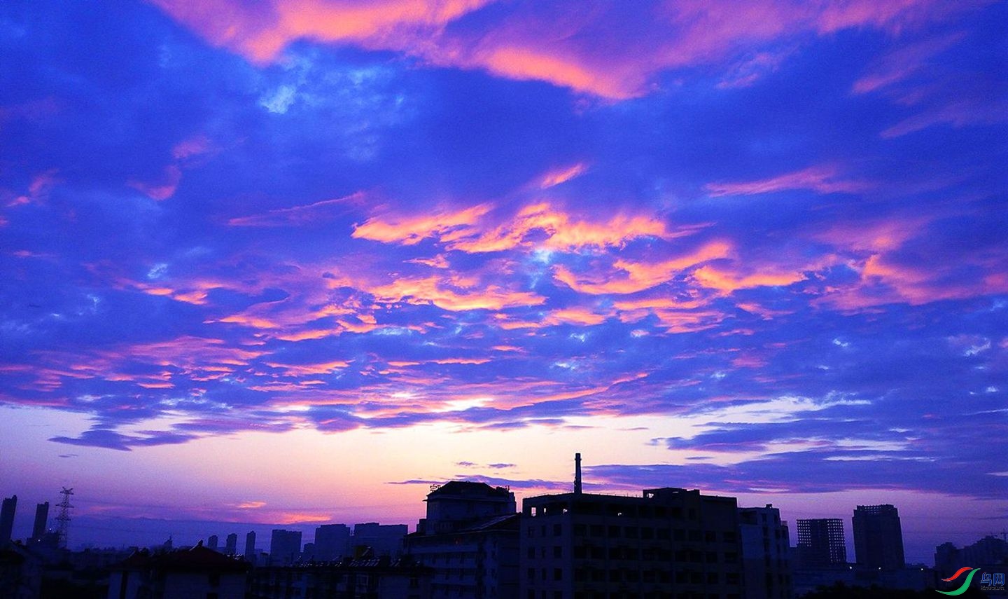 310 (82)_����.jpg