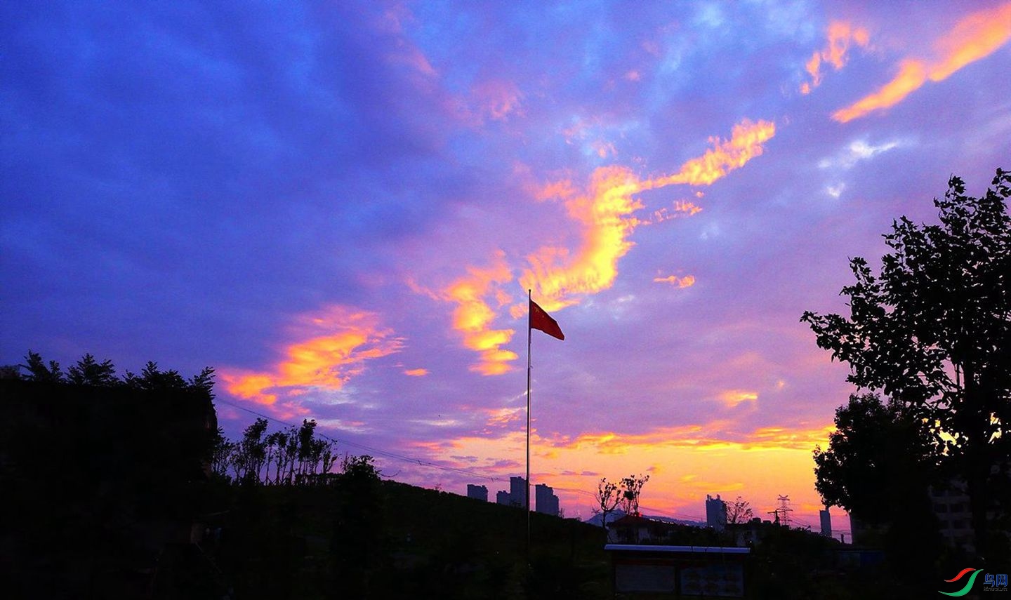 310 (81)_����.jpg