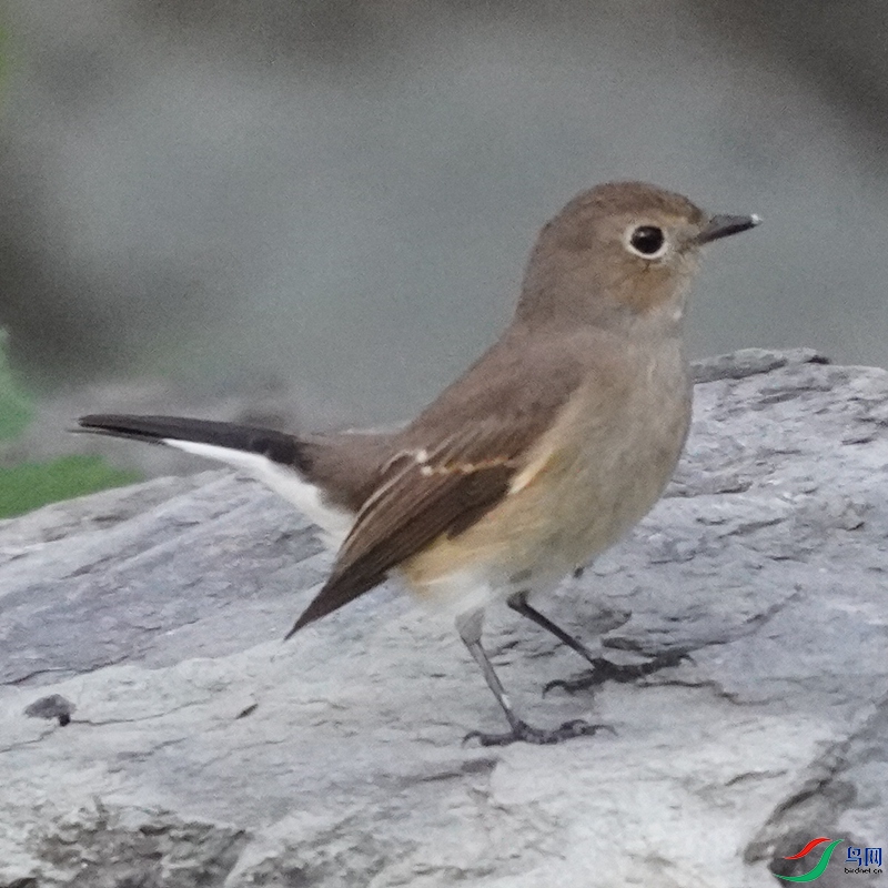 DSC00876_�l5.jpg