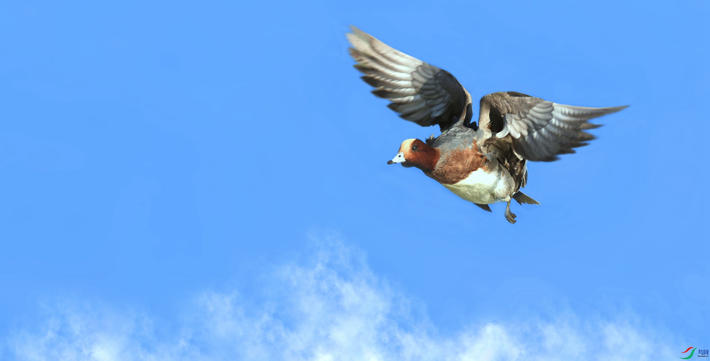 ABM_4829_����.jpg