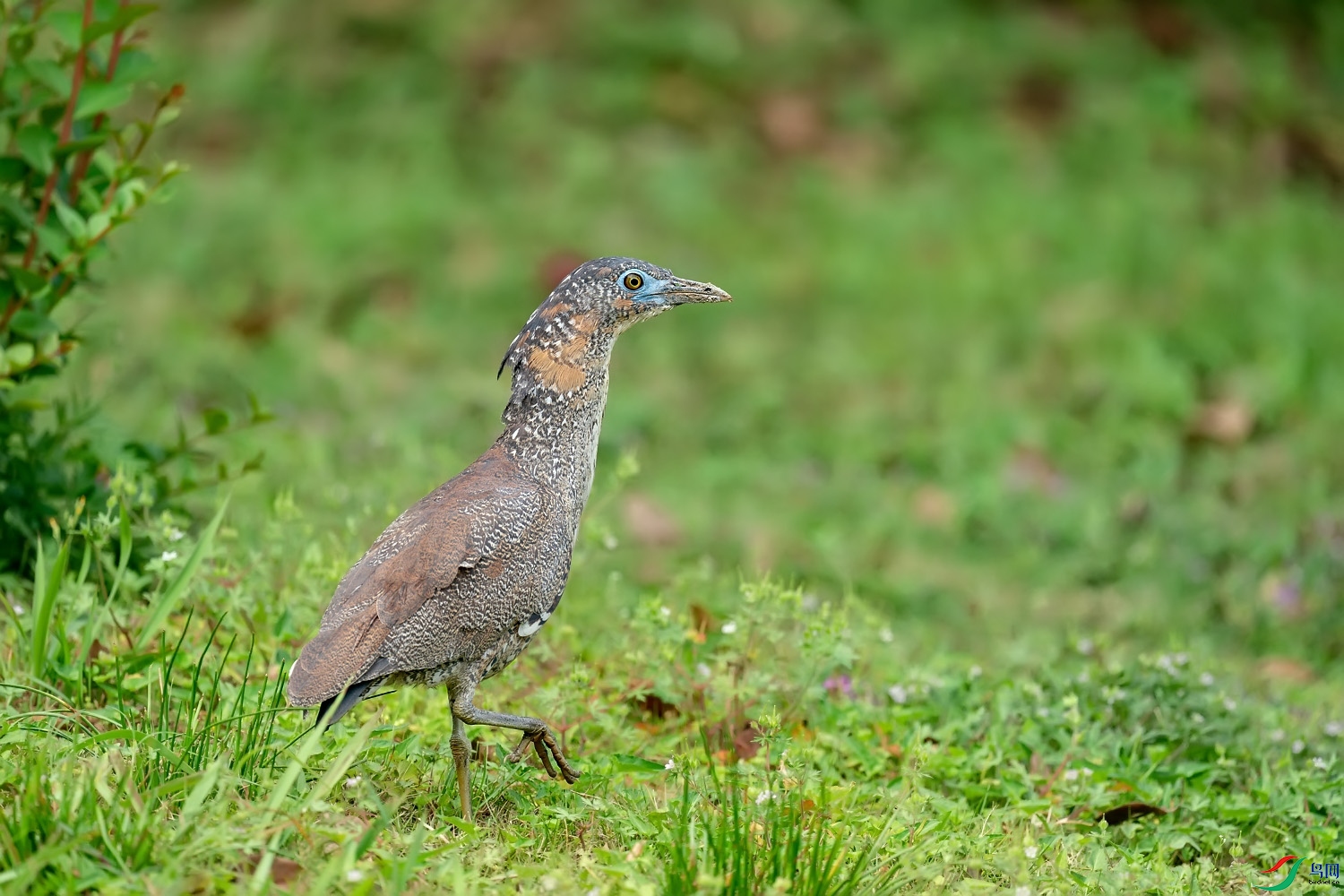 A9D02324a.jpg
