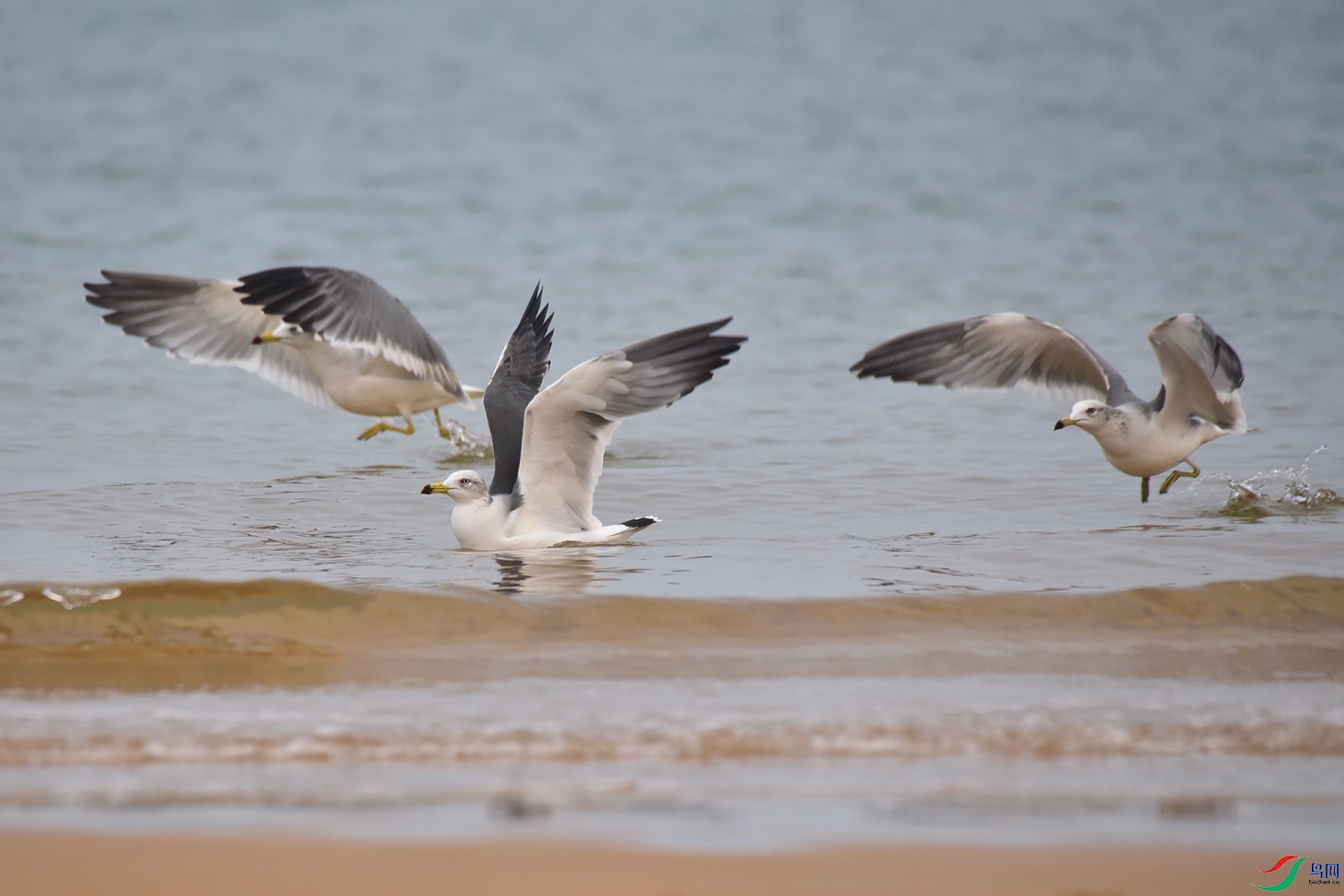 DSC_6536.JPG