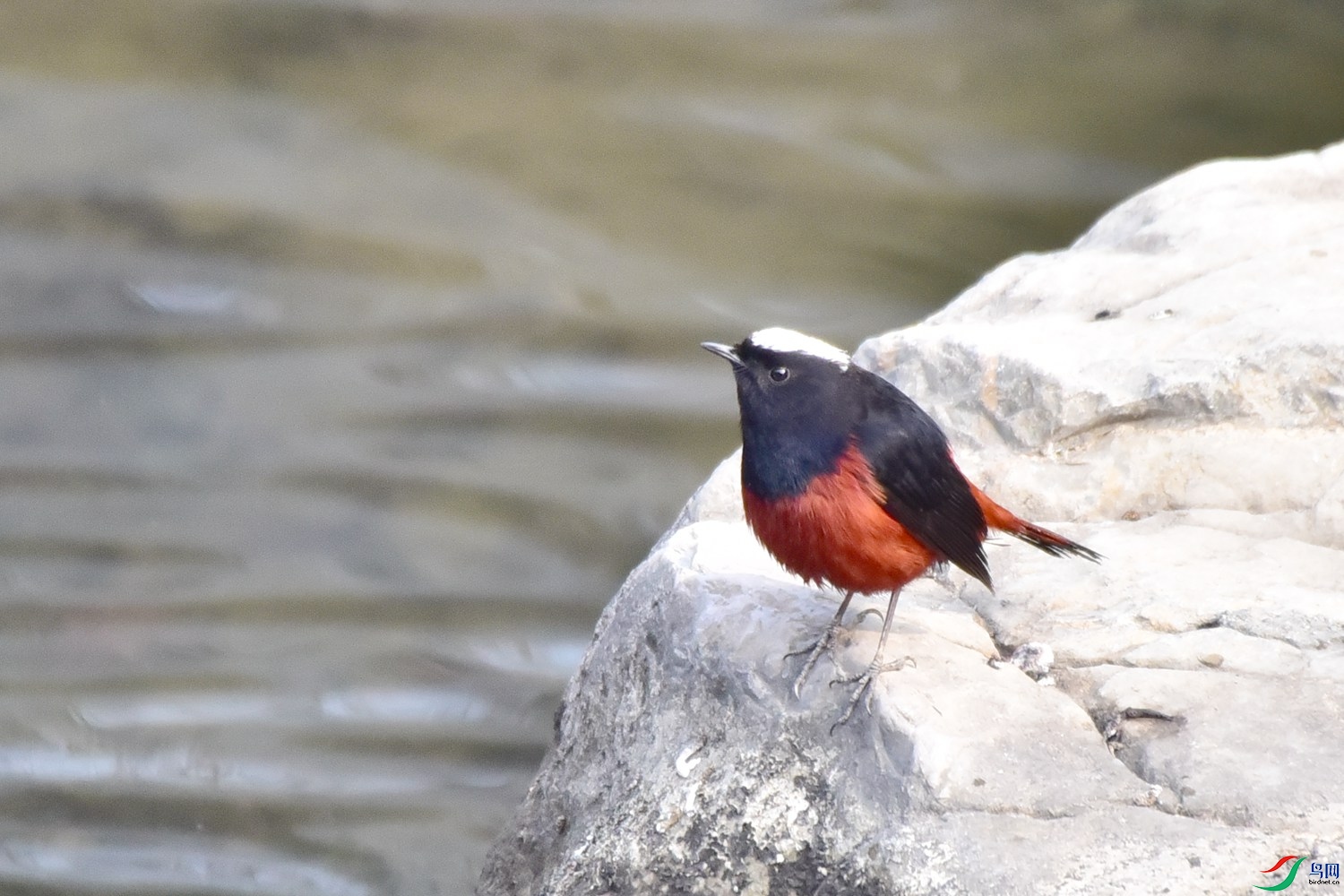 DSC_0354.JPG