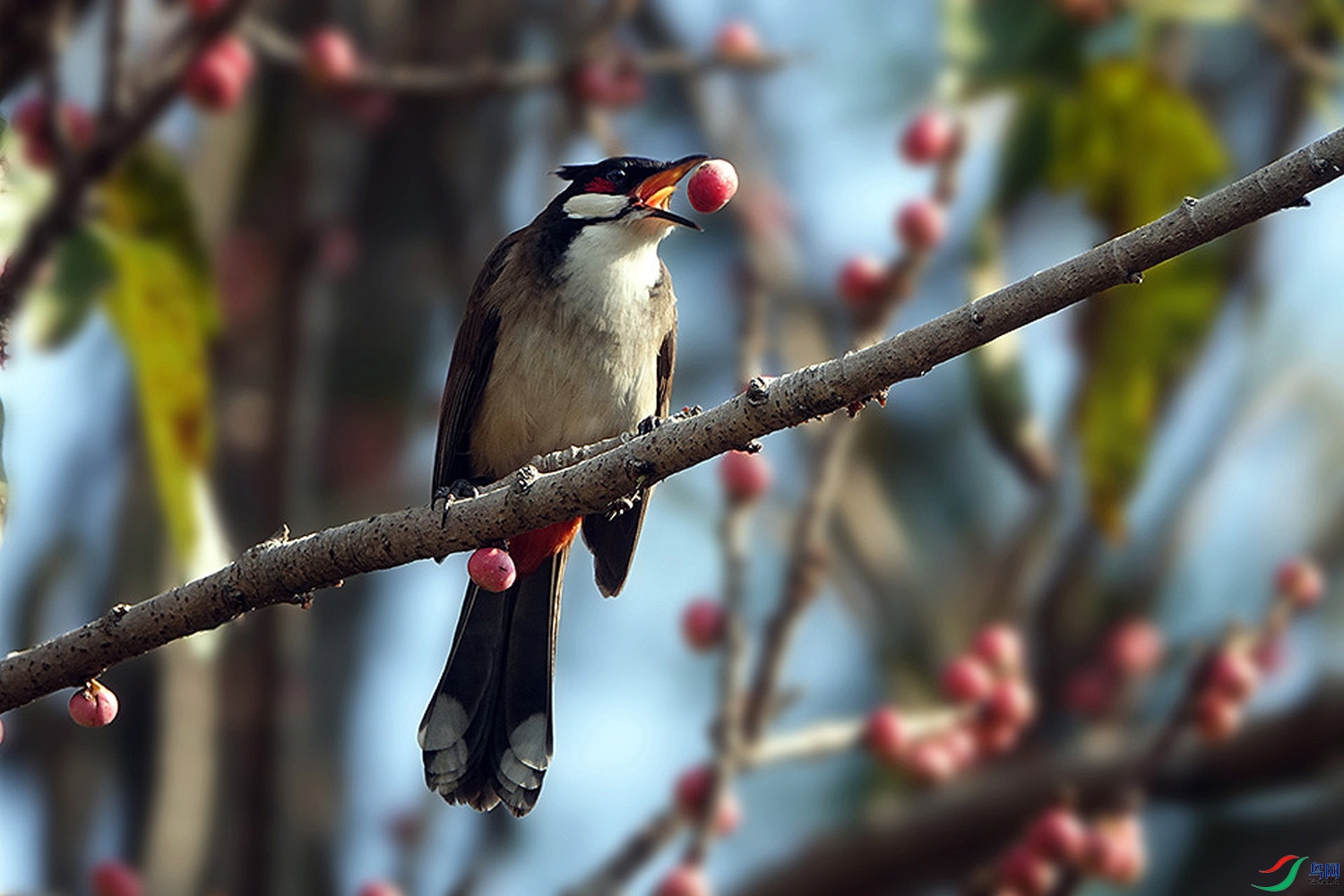 4 (1)�����.jpg