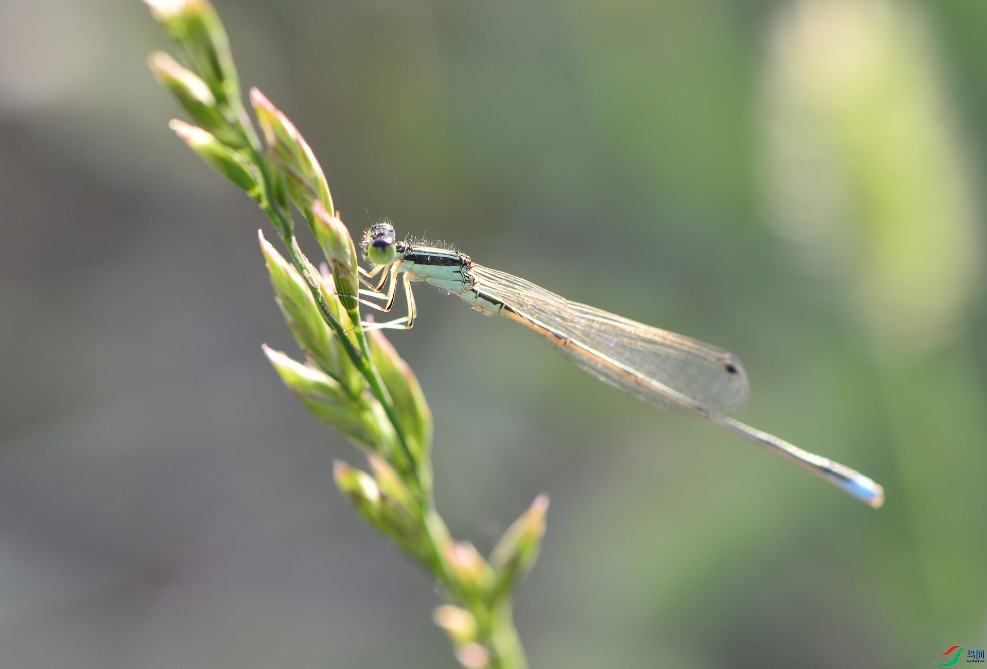 ������Ӱ 1887����.jpg