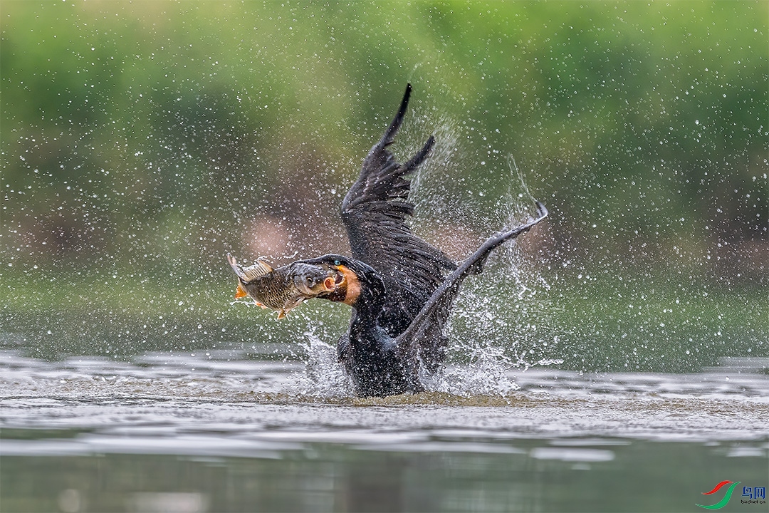 D5W_5765-1.jpg