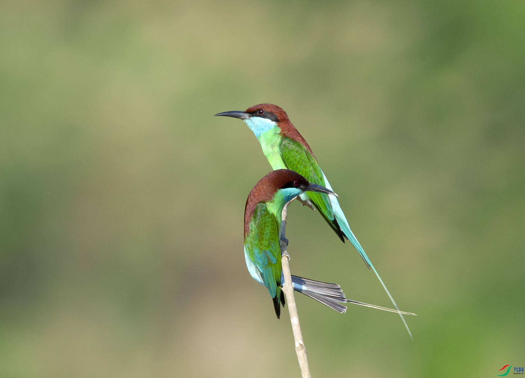 ��DSC_5965.jpg