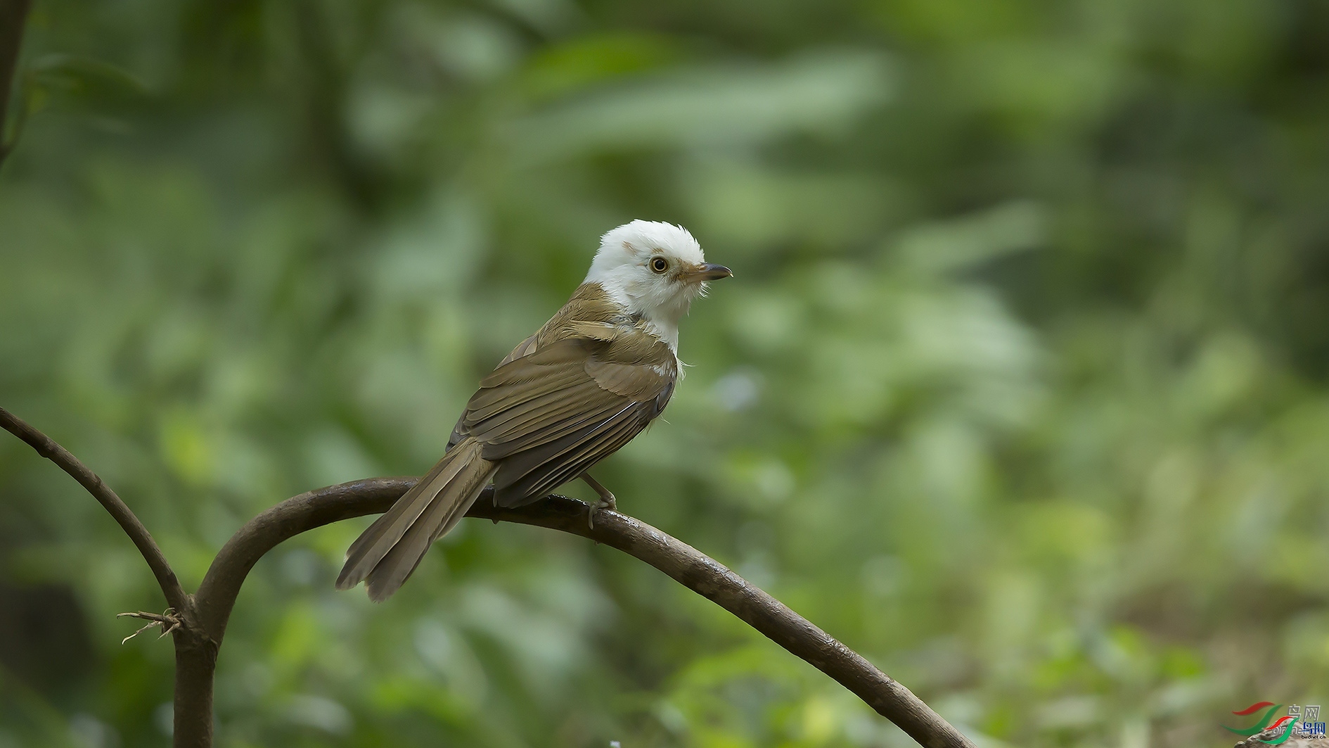 ȸ����Ӱ  ��ʦ����������ʡ��ɽ��¡����.jpg