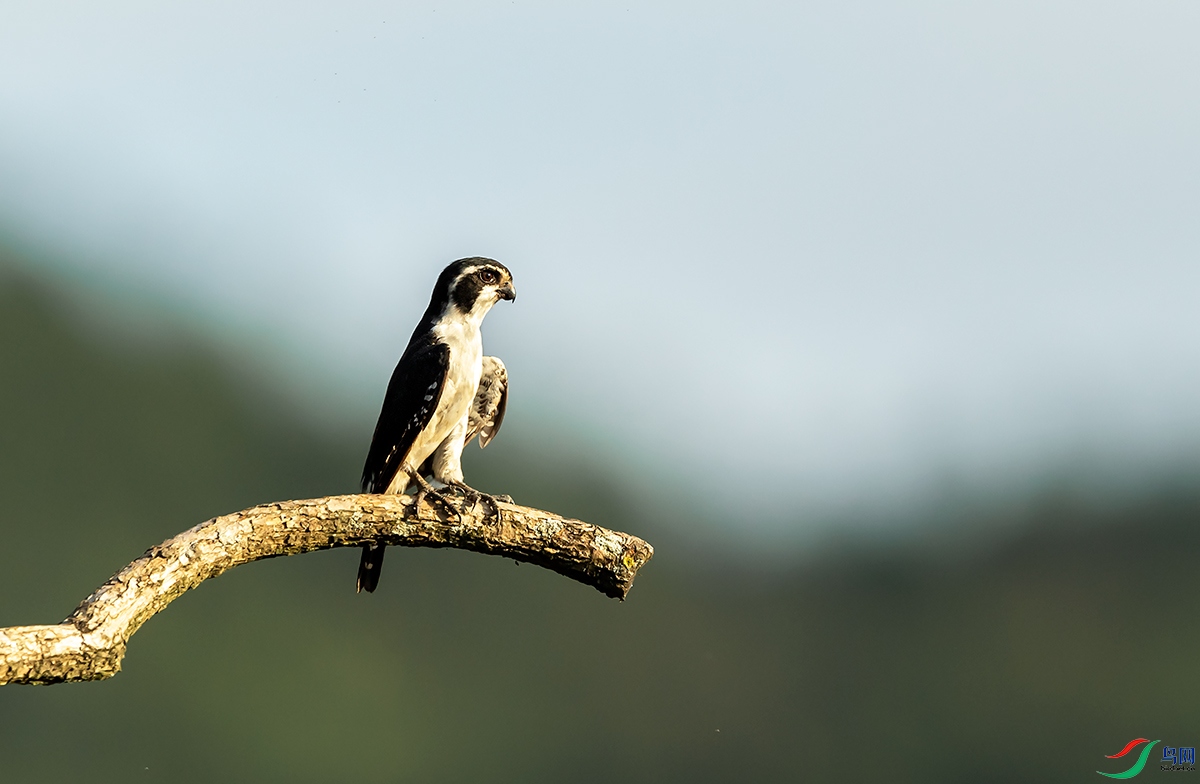_DSC9143.jpg