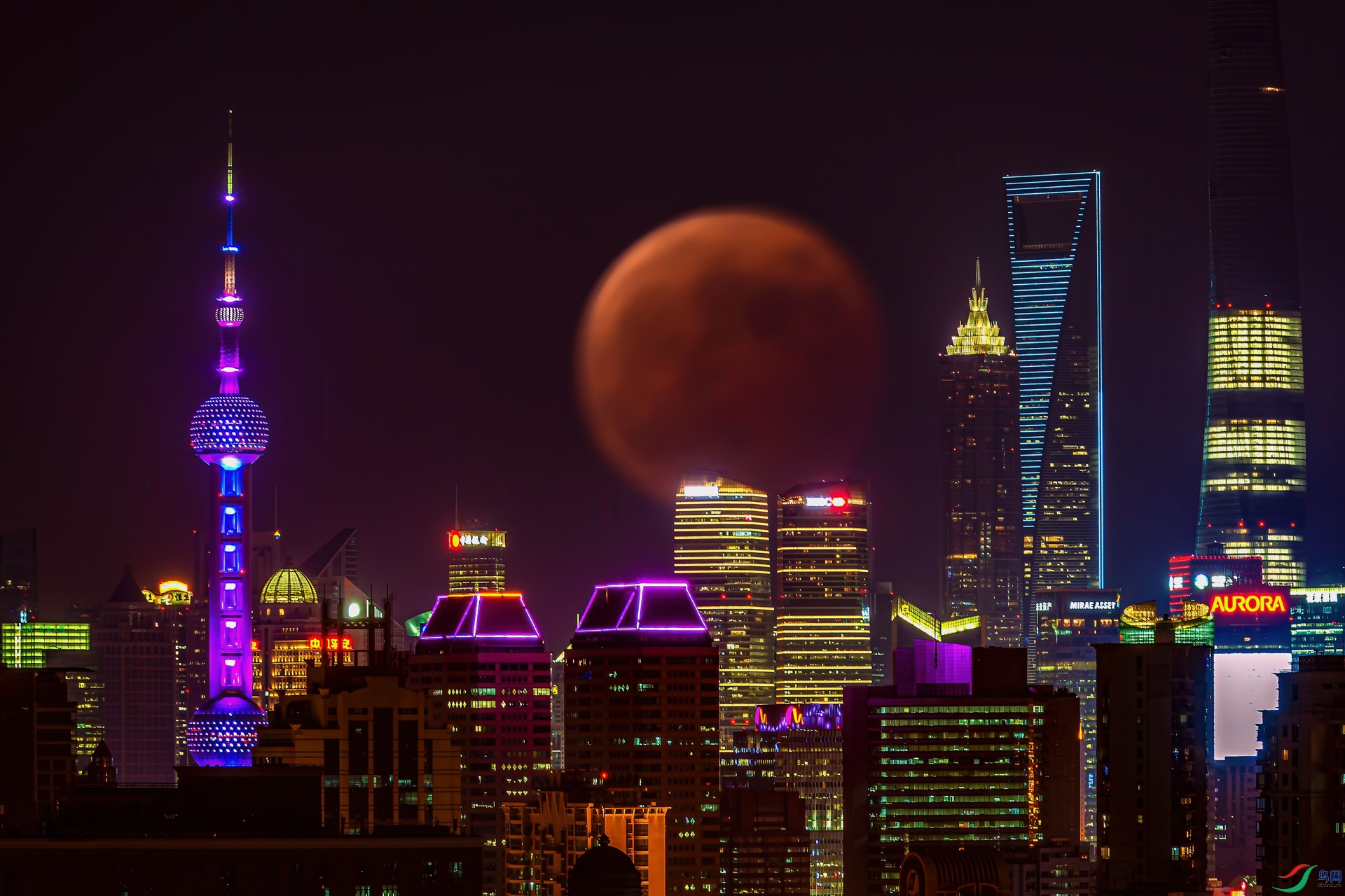 DSC_1816-11���ǹ�����.jpg