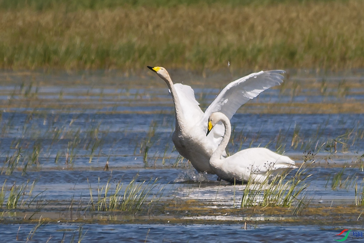 DSC_4476.jpg