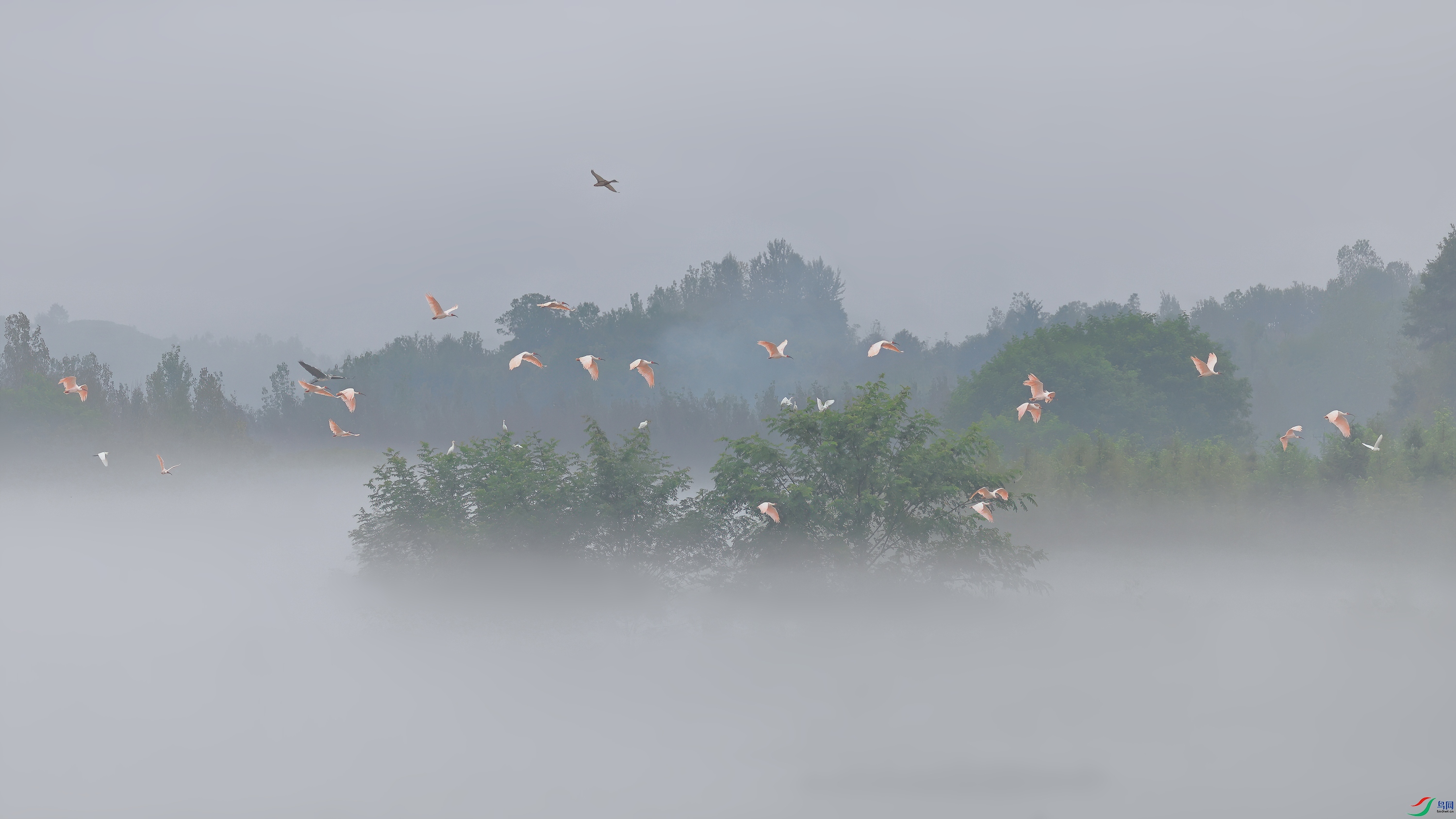 _C9A5408-DeNoiseAI-denoise (1)_����.jpg