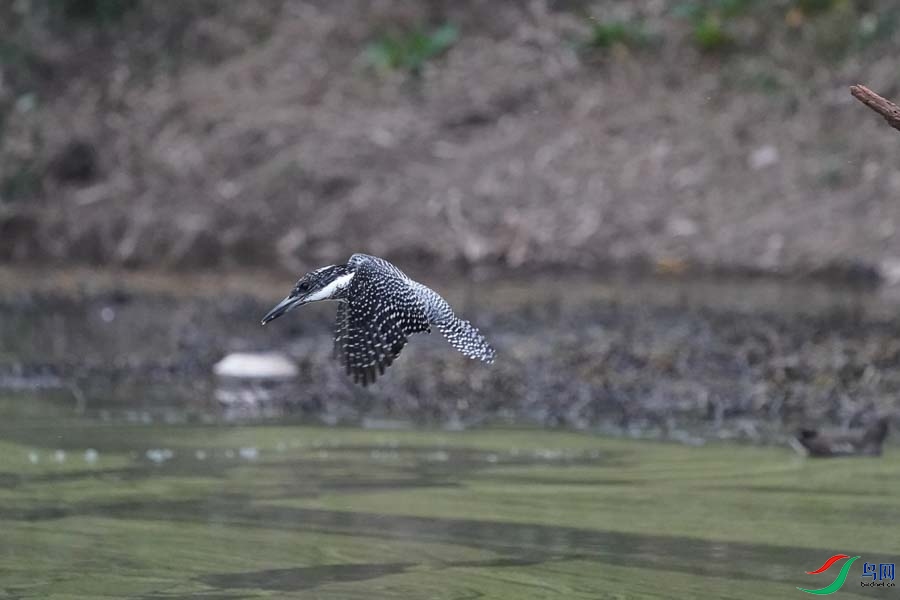 20180224-DSC00957-3 - ���� (2).JPG