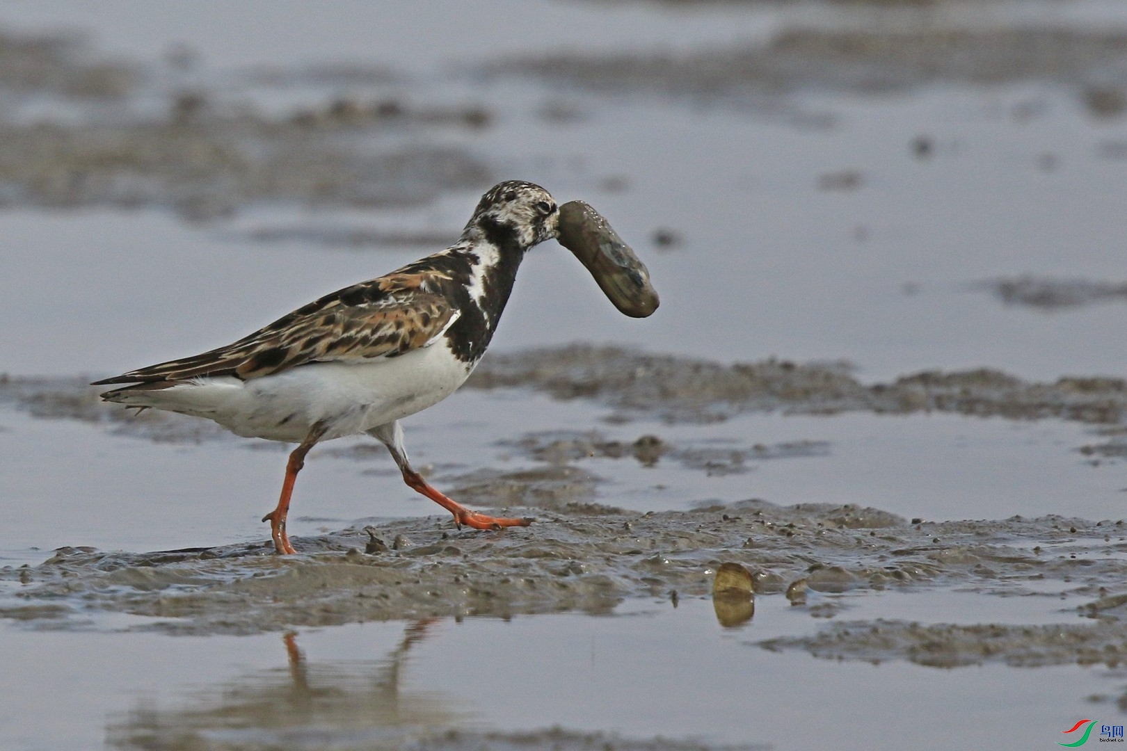 �ְ�����222�� 0F4A3729.jpg