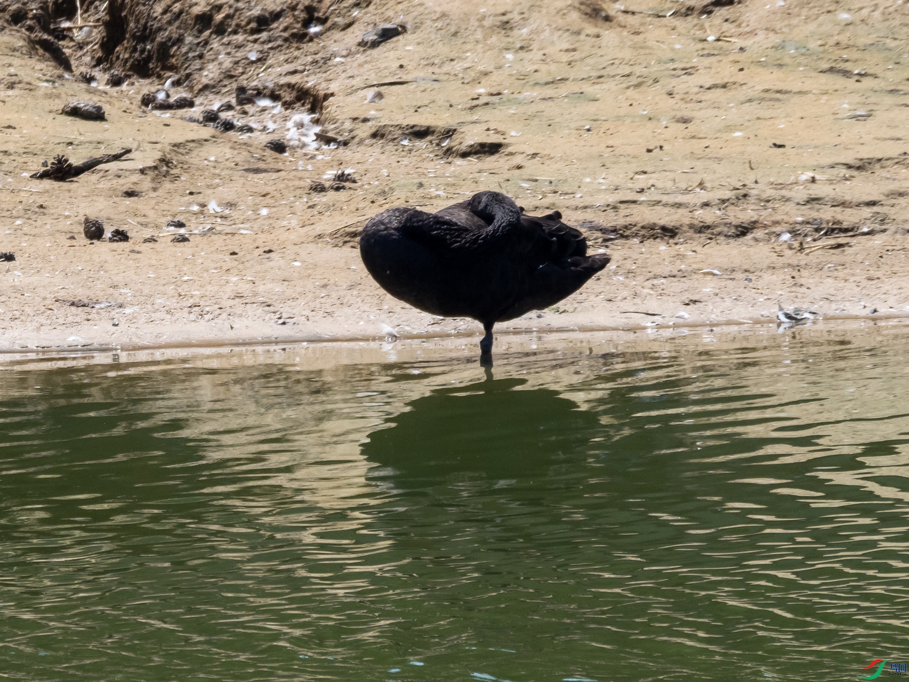 ��Ϣ�ĺ����