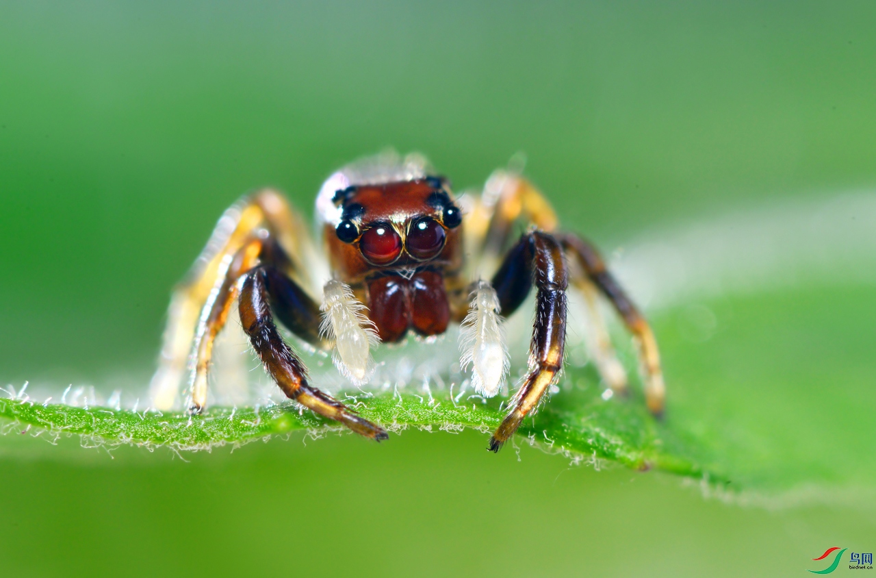 DSC_4849 �������� ����.jpg