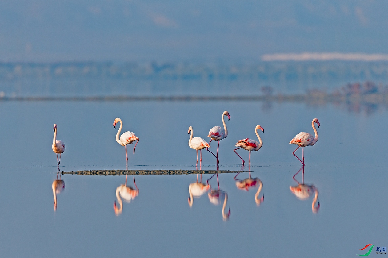 ����ԲԲ������