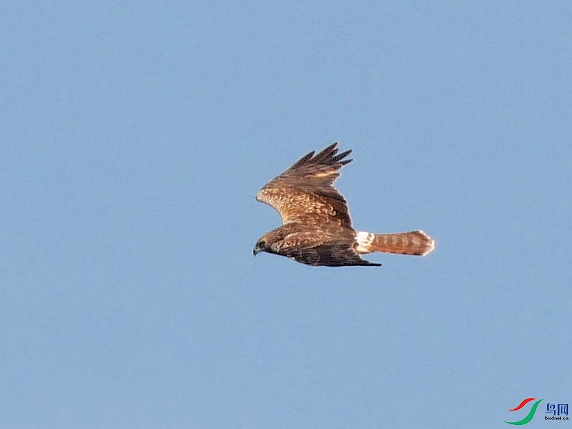 P7150855 - ����.JPG