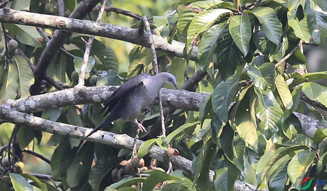 ��ʯ�� (14)����.jpg