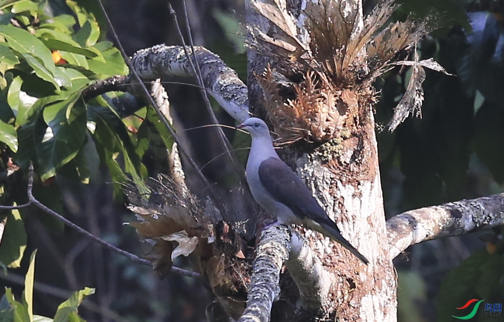 ��ʯ�� (5)����.jpg