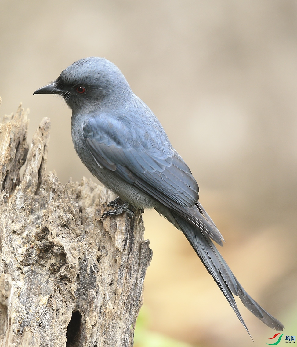 �ٻ��� (4)����.jpg