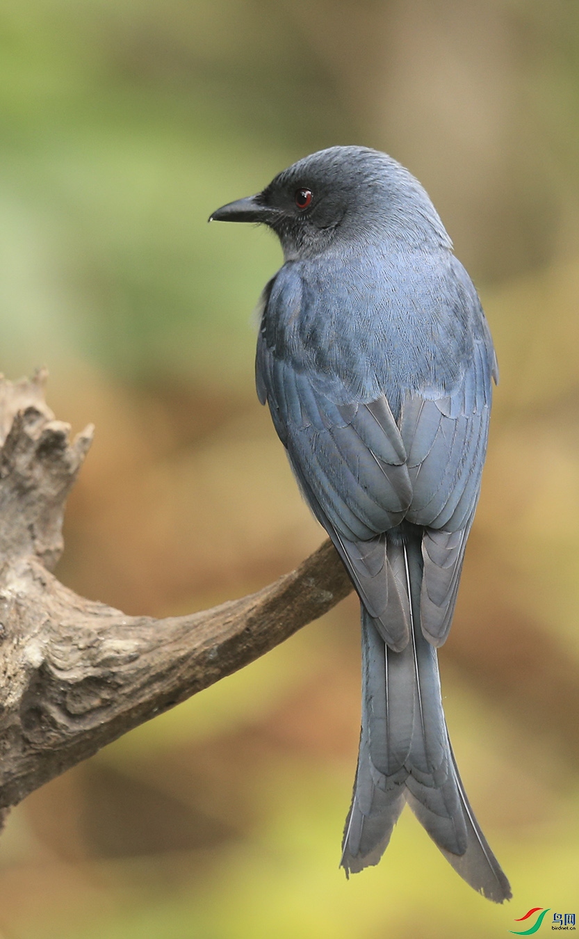 �ٻ��� (5)����.jpg