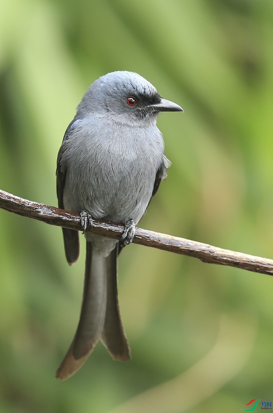 �ٻ��� (2)����.jpg